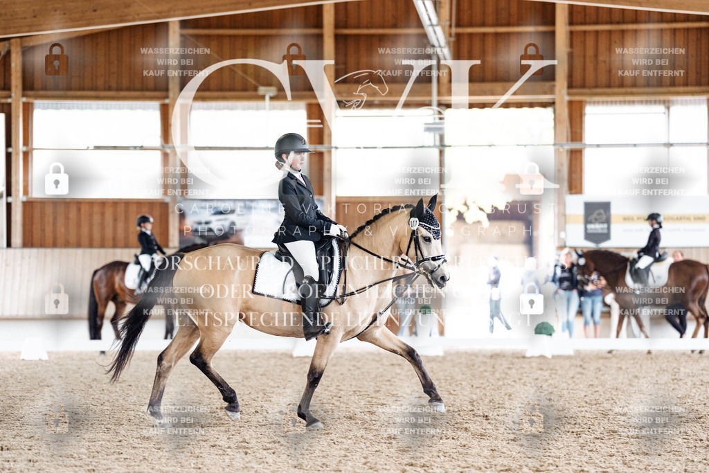 CK901554 | Turnierfotografie Pferdefotografie Trier Rheinland-Pfalz Pferdesport Reitsport Tierfotografie Sportfotografie Pferdevideo Pferdevideografie Equestrianvideography equestrianphotography  - Realisiert mit Pictrs.com
