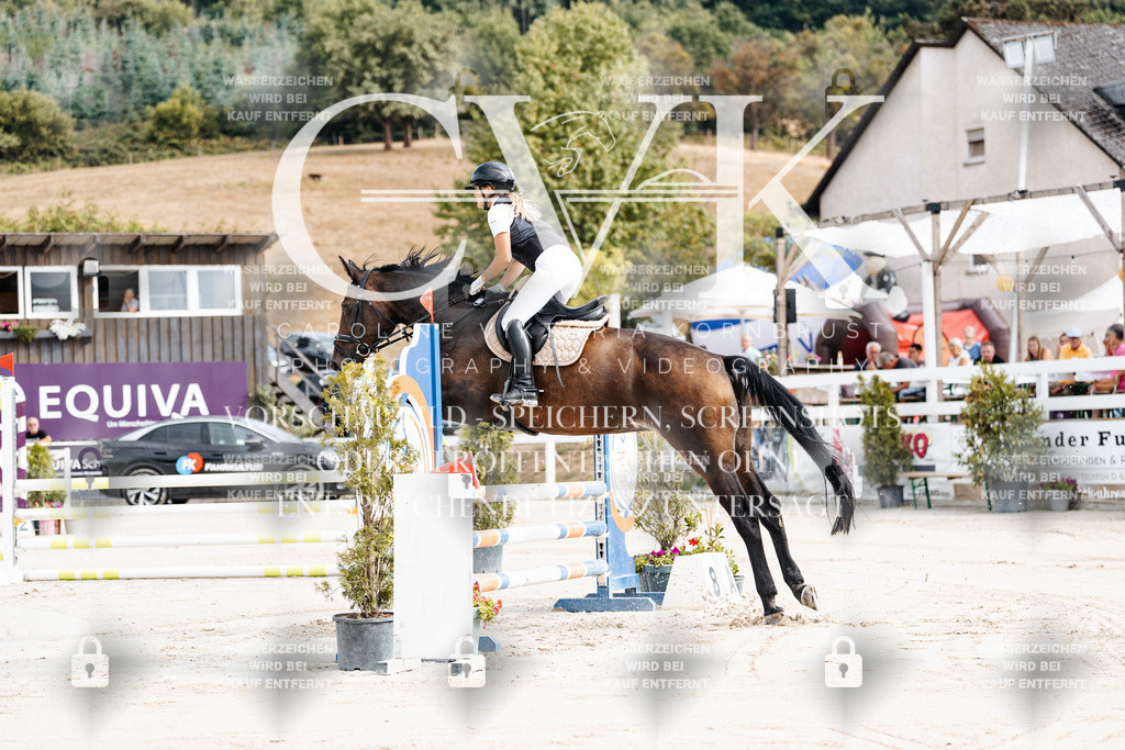 CK908846 | Turnierfotografie Pferdefotografie Trier Rheinland-Pfalz Pferdesport Reitsport Tierfotografie Sportfotografie Pferdevideo Pferdevideografie Equestrianvideography equestrianphotography  - Realisiert mit Pictrs.com