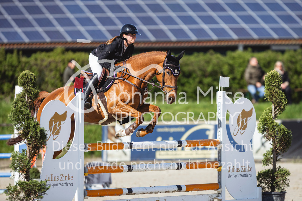 260421_Frühlingsfest_4_SprPf-L-411 | Deine schönsten Turniermomente als professionelle Fotos! Entdecke hochwertige Pferdesport-Fotografie im Online-Shop. Jetzt Fotos finden & bestellen!