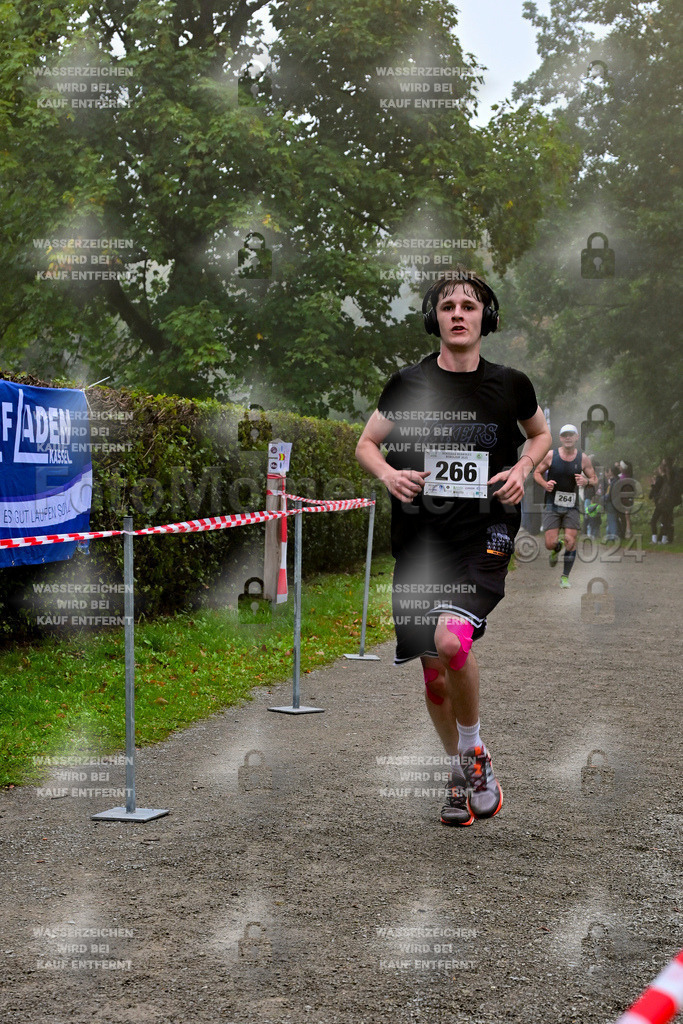 Z8N_1951 | la-psv - Realisiert mit Pictrs.com