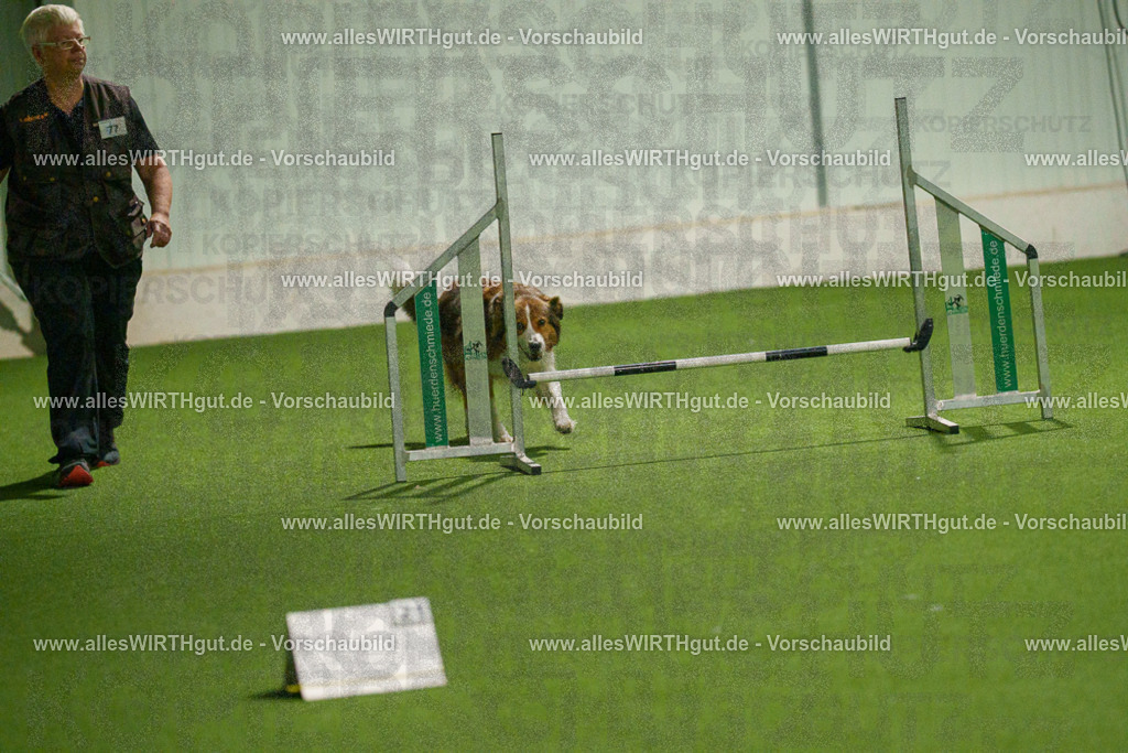 7R508818 | Professionelle Tierfotografie in Mönchengladbach von Daniel Wirth (allesWIRTHgut). Liebevolle & natürliche Bilder von Hunden & Katzen für unvergessliche Erinnerungen.