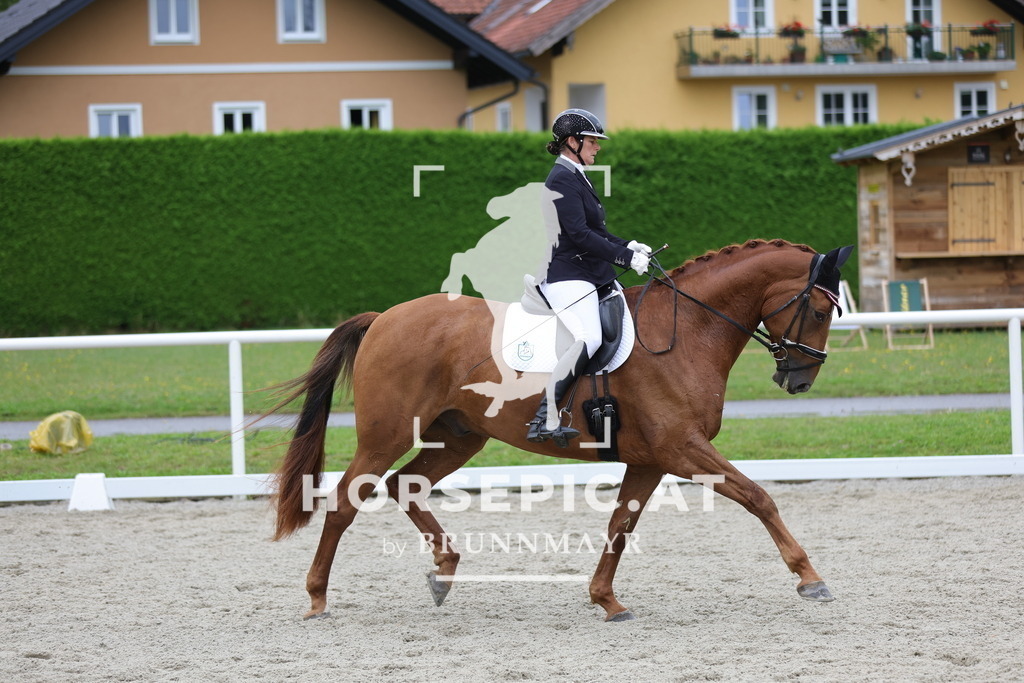 0P6A9088 | Willkommen bei Brunnmayr - Design & Fotografie – Ihrem Spezialisten für Reitturniere und Pferdeveranstaltungen in Oberösterreich, Salzburg und Bayern! Seit über 17 Jahren sind wir leidenschaftlich dabei.