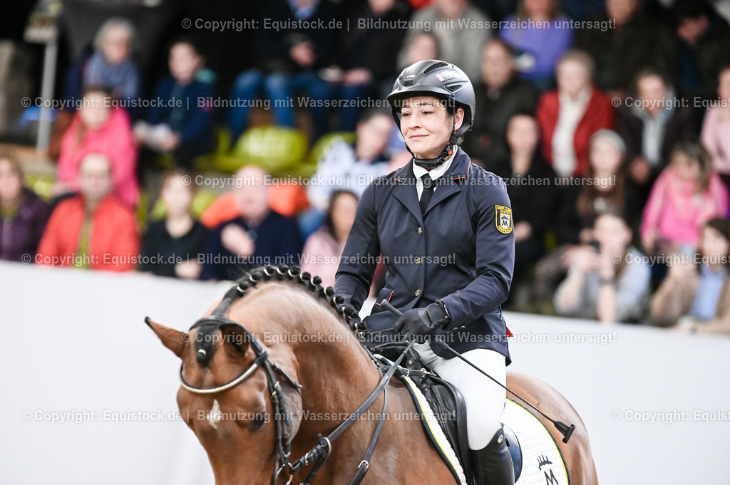 20260307_Hengstvorstellung-Marbach_0008 | equistock