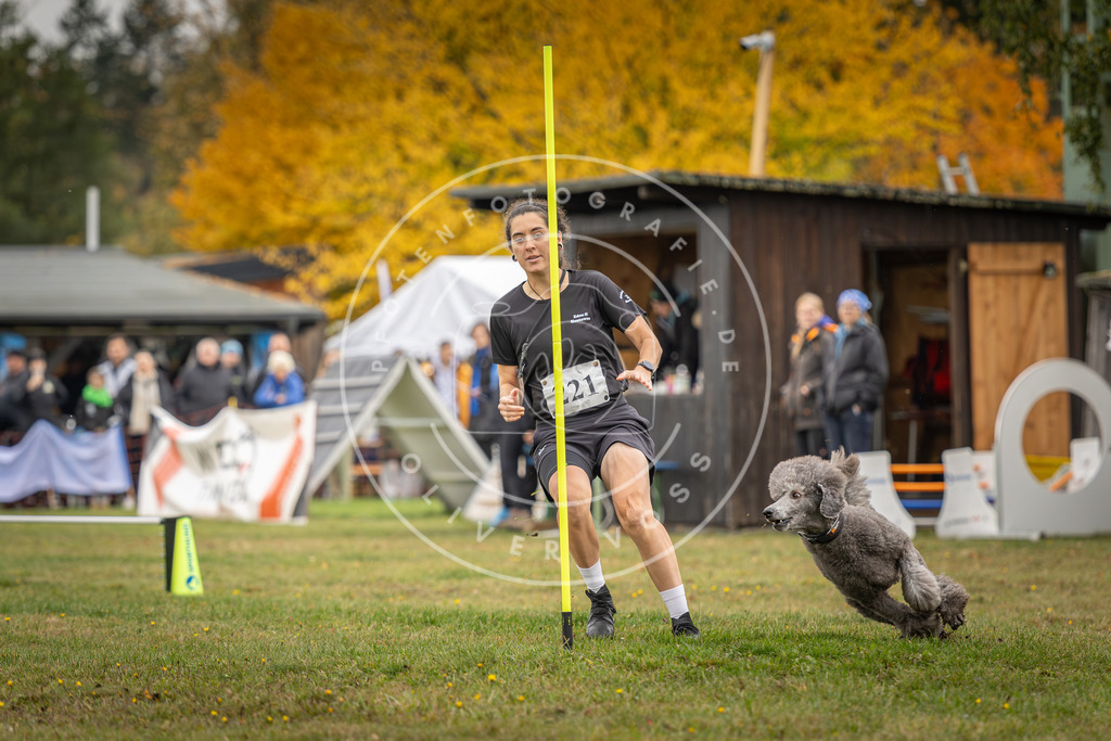 Pfotenfotografie_DV3A3068 | Hundefotografie, Tierfotograf, Pfotenfotografie, Fotoshooting Hund, Hunde Portrait, Hundesport, Hundeportraits, Heideshooting, Hunde, Sportfotograf, Hundefotograf, Turnierhundsport, THS,  - Realisiert mit Pictrs.com