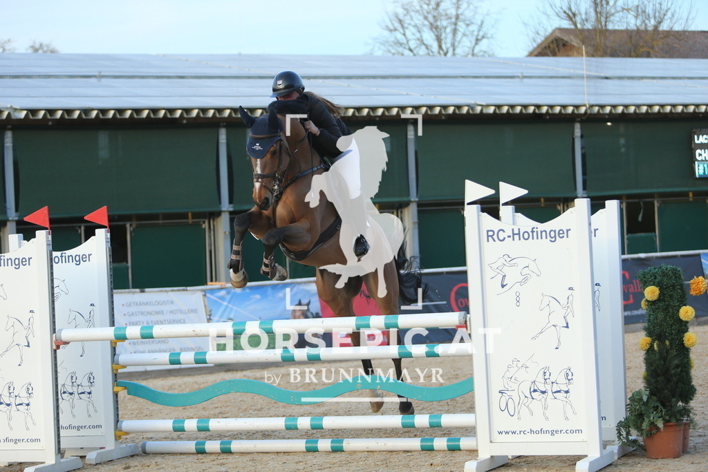 DL2Q4733 | Willkommen bei Brunnmayr - Design & Fotografie – Ihrem Spezialisten für Reitturniere und Pferdeveranstaltungen in Oberösterreich, Salzburg und Bayern! Seit über 17 Jahren sind wir leidenschaftlich dabei.