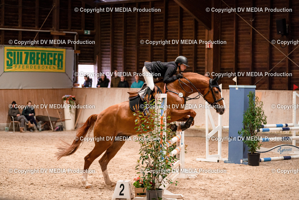 Springen Tag 2-188 | dv-media-shop - Realisiert mit Pictrs.com