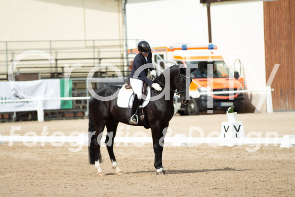 IMG_1774 | Creatify Fotografie