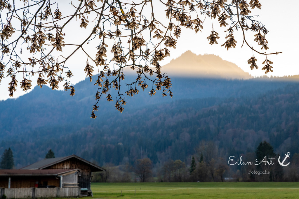 20241102-EAF_5543 | Eilun-Art-Fotografie Levke Martens, ihre Fotografin für Immobilien- und Landschaftsfotografie auf Föhr, Föhrer Motive als Poster, Leinwand, hinter Acrylglas oder stelle dir deinen eigenen Monatskalender zusammen, mit nur einem Klick