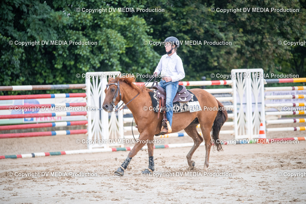 ZS2_4162 | dv-media-shop - Realisiert mit Pictrs.com