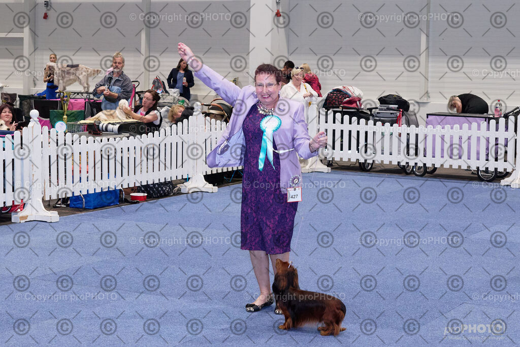 202406_ÖKV-IHA-Tulln24_NZ9_7834 | proPHOTO - Realisiert mit Pictrs.com