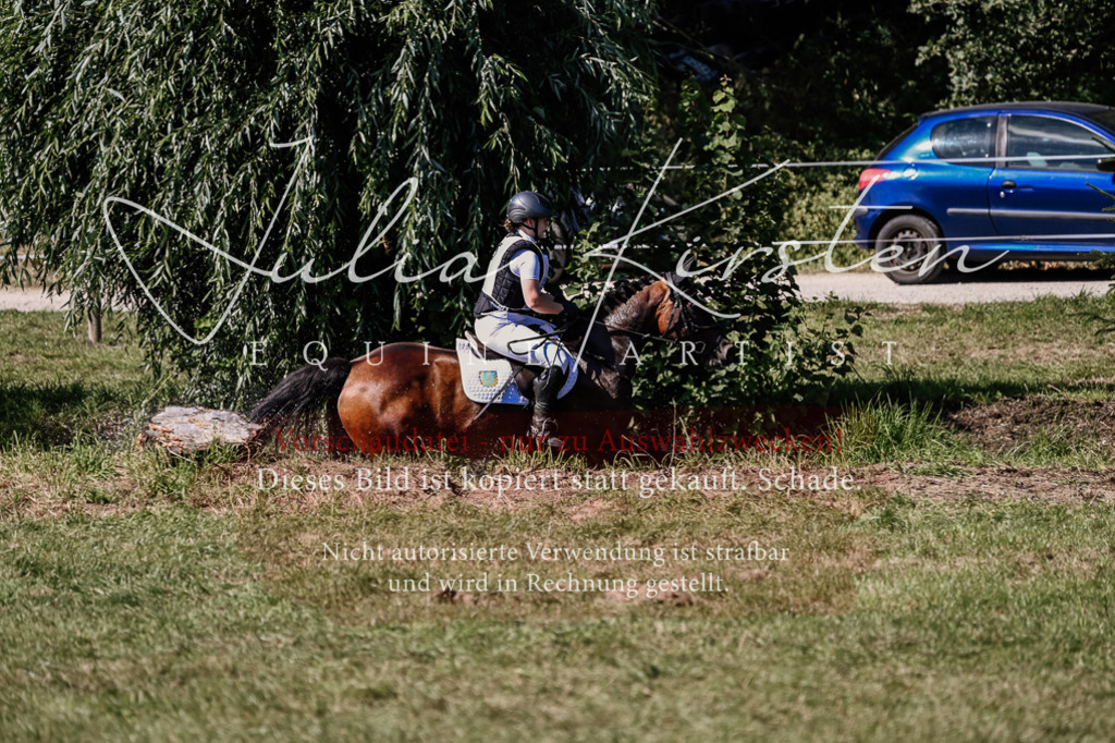 DSC_1510 | Pferde- und Turnierfotografie in Westsachsen. Pferdeportraits, Auftragszeichnungen und intuitive Kunst.