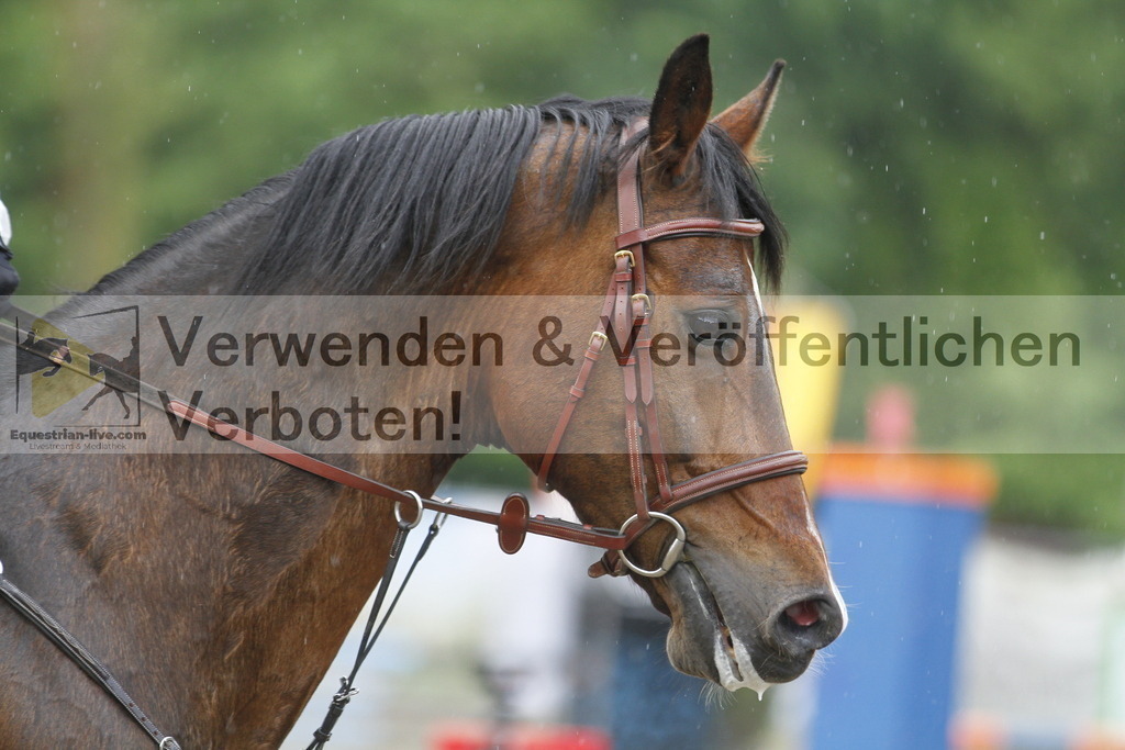 _MG_6701 | equestrian-live-com