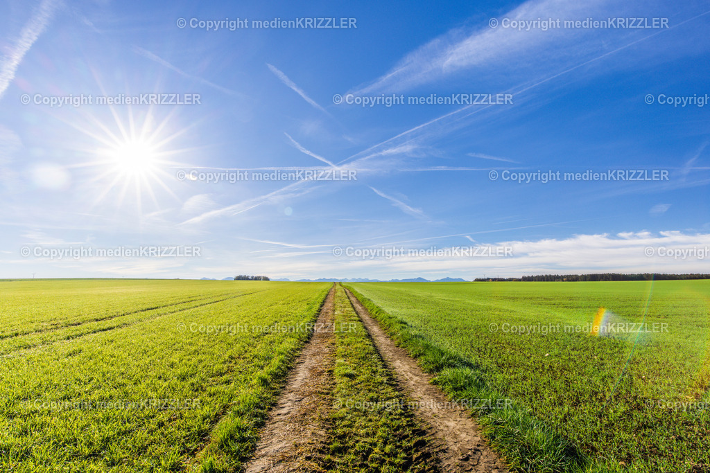 _J3A9022 | medienkrizzler - Realisiert mit Pictrs.com