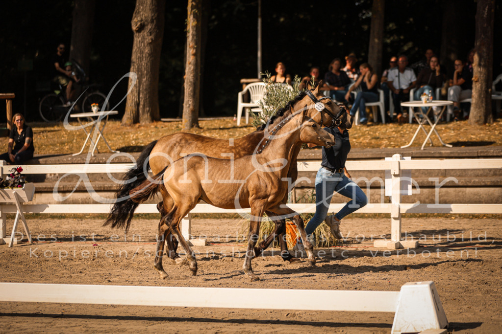 11.DoRP00008 | Leoni Ertmer Photography - Realisiert mit Pictrs.com