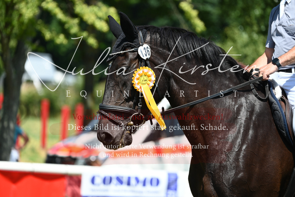 DSC_0899 | Pferde- und Turnierfotografie in Westsachsen. Pferdeportraits, Auftragszeichnungen und intuitive Kunst.