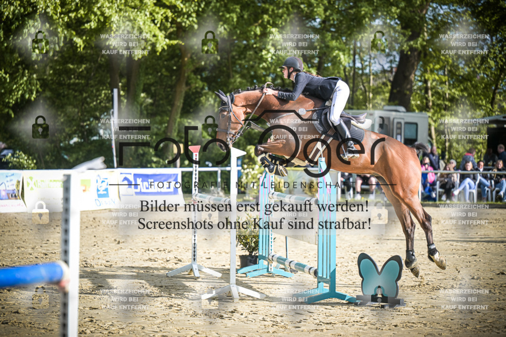 DOS_3268 | Entdecke hochwertige Reitturnierfotos von Foto Oger. Professionell, emotional und authentisch – jetzt Lieblingsmomente im Shop bestellen.Deutschlandweite Turnierfotografie. - Realisiert mit Pictrs.com