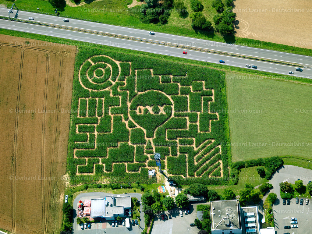 2858847 | ulm240708 069