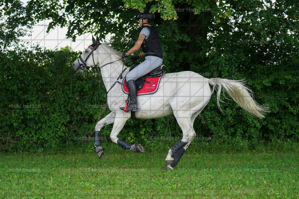 20240622-FAH07704 | Turnierfotografen Bayern, Reitsportbilder aus dem Geländekurs mit Felix Etzel auf dem Gut Waitzacker 2024
