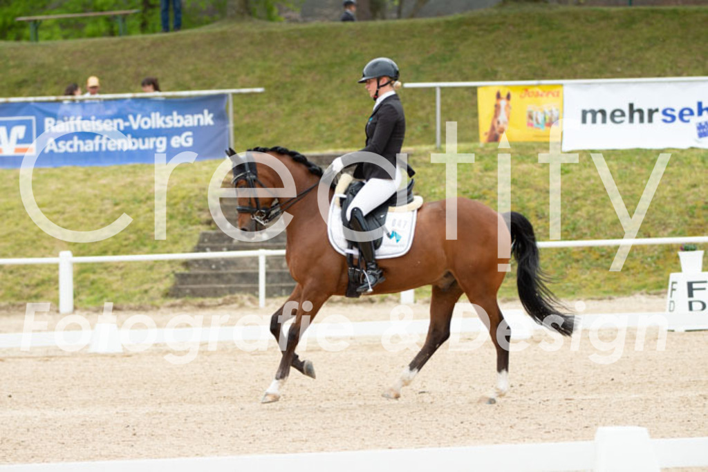 IMG_2932 | Creatify Fotografie