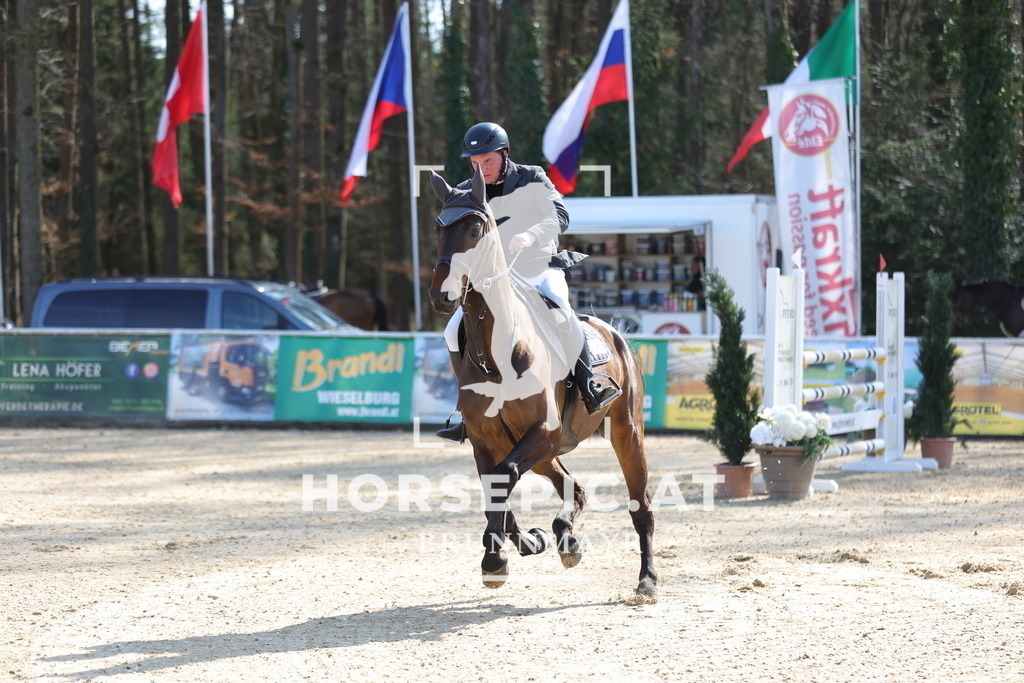 0P6A2089 | Willkommen bei Brunnmayr - Design & Fotografie – Ihrem Spezialisten für Reitturniere und Pferdeveranstaltungen in Oberösterreich, Salzburg und Bayern! Seit über 17 Jahren sind wir leidenschaftlich dabei.