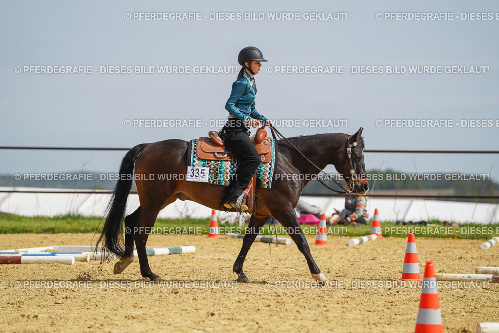 DSC04303 | Pferdegrafie