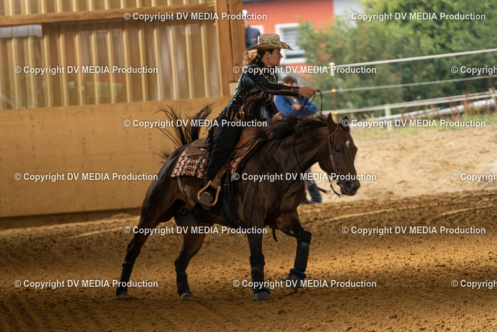 LAU00878 | dv-media-shop - Realisiert mit Pictrs.com