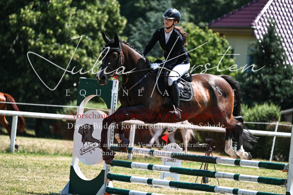 DSC_0435 | Pferde- und Turnierfotografie in Westsachsen. Pferdeportraits, Auftragszeichnungen und intuitive Kunst.