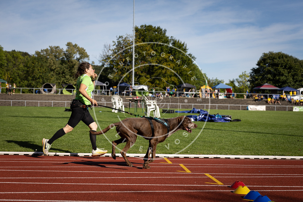 Pfotenfotografie_DV3A8740 | Hundefotografie, Tierfotograf, Pfotenfotografie, Fotoshooting Hund, Hunde Portrait, Hundesport, Hundeportraits, Heideshooting, Hunde, Sportfotograf, Hundefotograf, Turnierhundsport, THS,  - Realisiert mit Pictrs.com