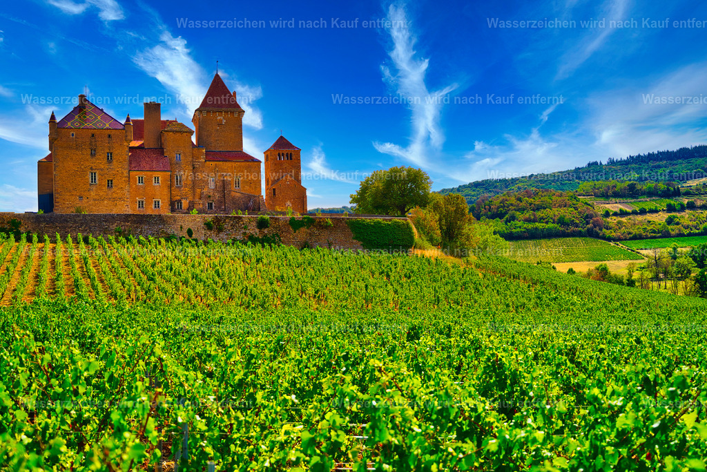 Bourgogne - Château de Pierreclos | Das imposante Château de Pierreclos im Burgund beeindruckt mit seinen historischen Türmen und Mauern und liegt malerisch inmitten der idyllischen Landschaft des Mâconnais. - Realisiert mit Pictrs.com