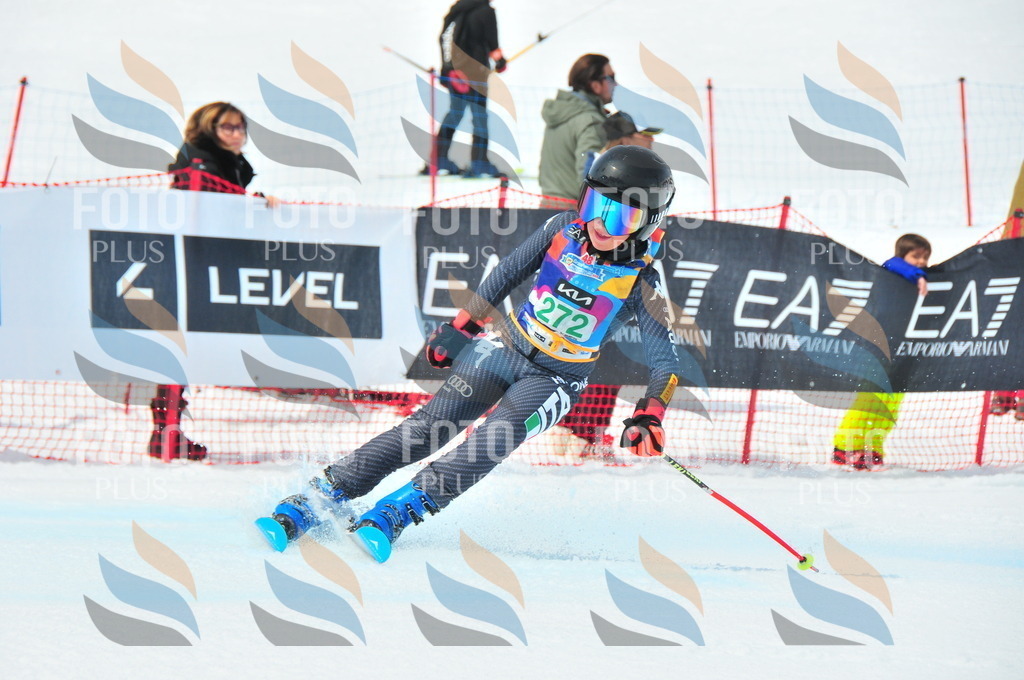 DSC_2531 | holidayphoto