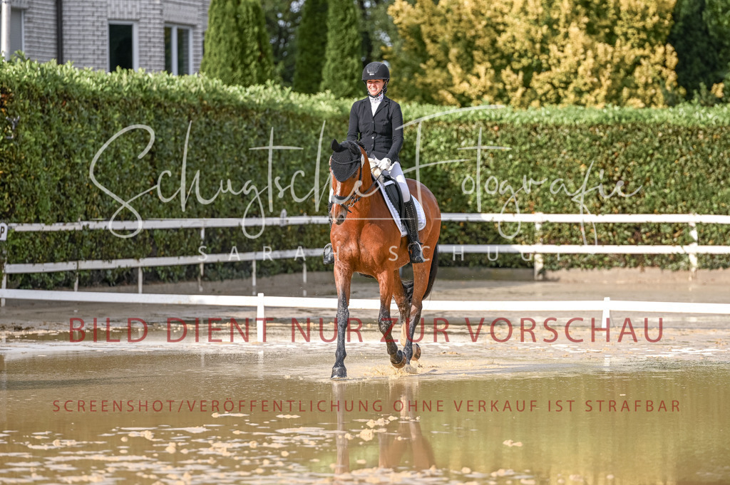 Schugtsche-Aluta25-54.Dressurprf.L1Trense-174 | Schugtsche Fotografie - Realizzato con Pictrs.com