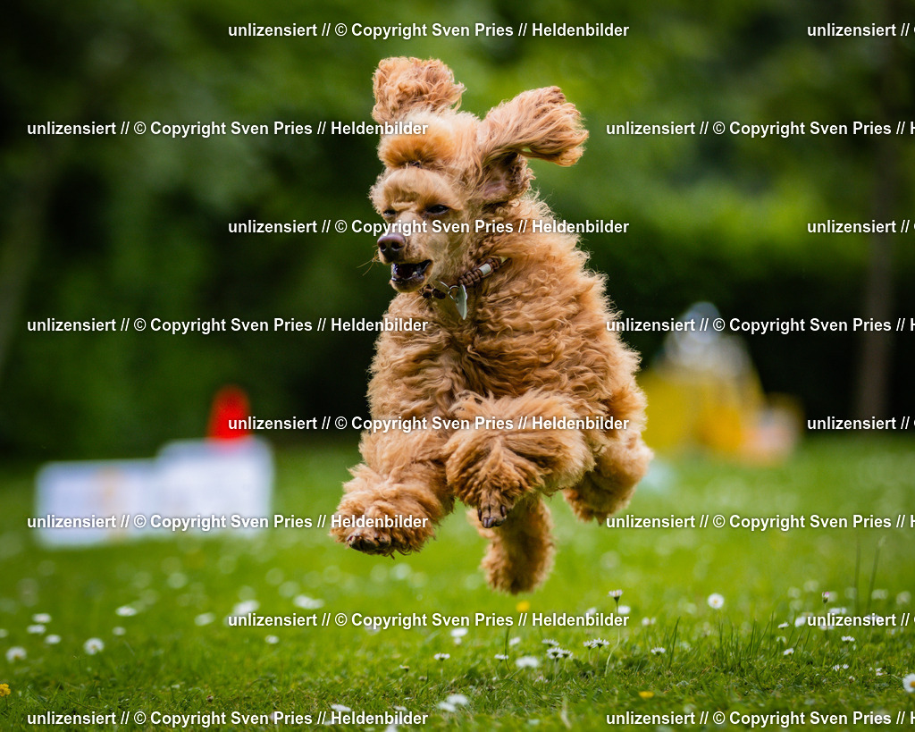 Sven Pries | 2025-05-29 - Pudelrennen KA-Durlach - Realisiert mit Pictrs.com