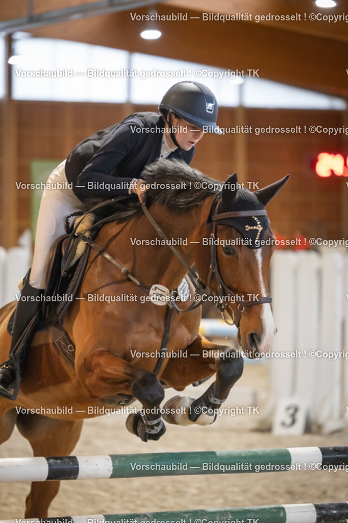 _D5A8520 | Emotionale Pferde- & People-Fotografie rund um Heidelberg, Leimen & Umgebung. Natürliche Fotos von Pferd, Mensch & Familie. Jetzt Termin sichern!