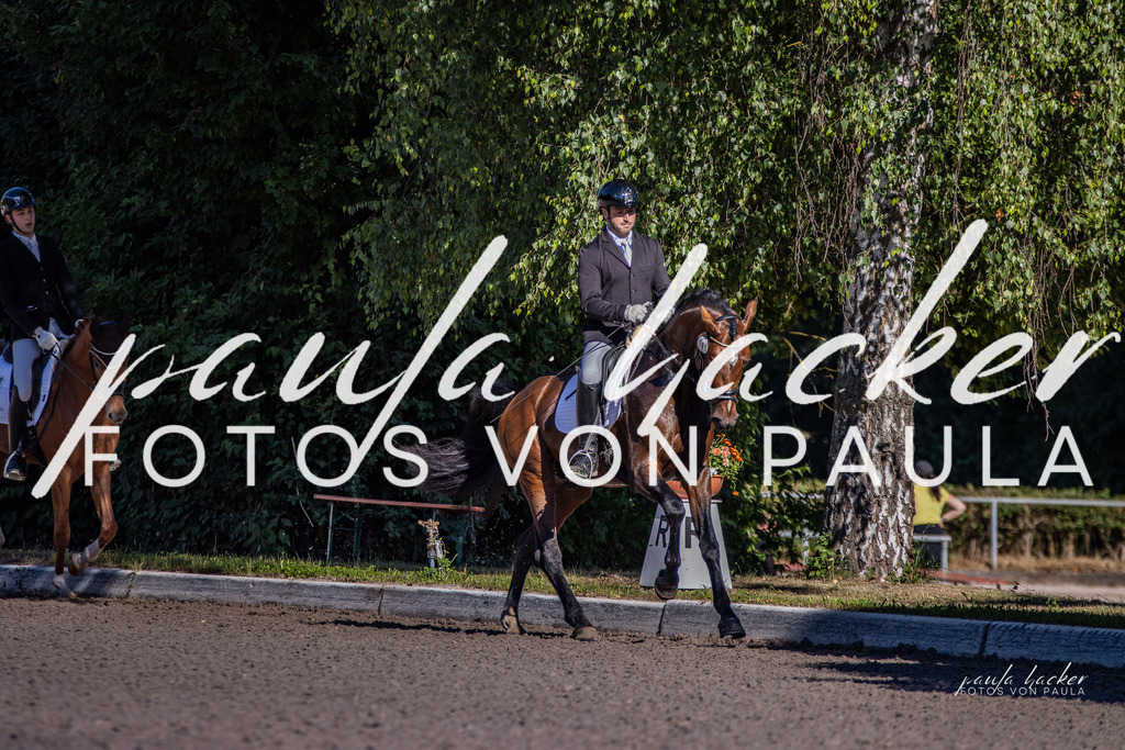IMG_7968 | Erleben Sie dynamische Sport- und emotionale Tierfotografie in Süddeutschland mit Fotos von Paula. Spezialisiert auf Pferde- und Hundefotografie sowie Sportevents. Kontaktieren Sie mich für einzigartige und ausdrucksstarke Bilder Ihrer besonderen Momente. - Realisiert mit Pictrs.com