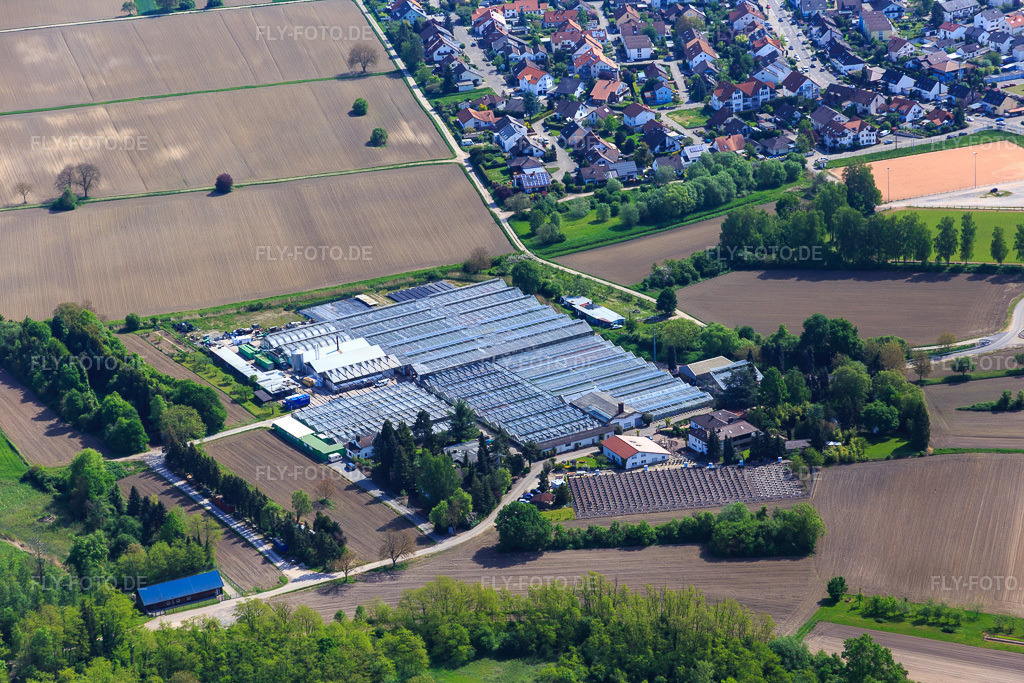 Luftbild: Geranien Endisch in Hagenbach im Bundesland Rheinland-Pfalz in Deutschland. Foto: IMG_078384.jpg vom 08.05.2015 durch Werner Riehm/FLY-FOTO.de
