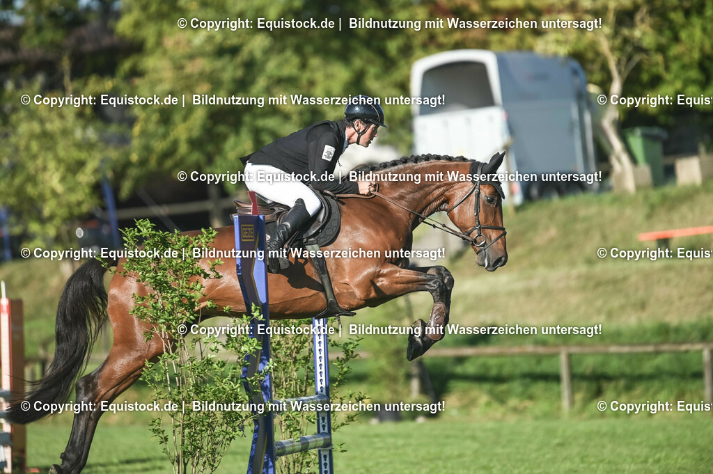 20230908_14-15_Springpferde-A_0025 | equistock