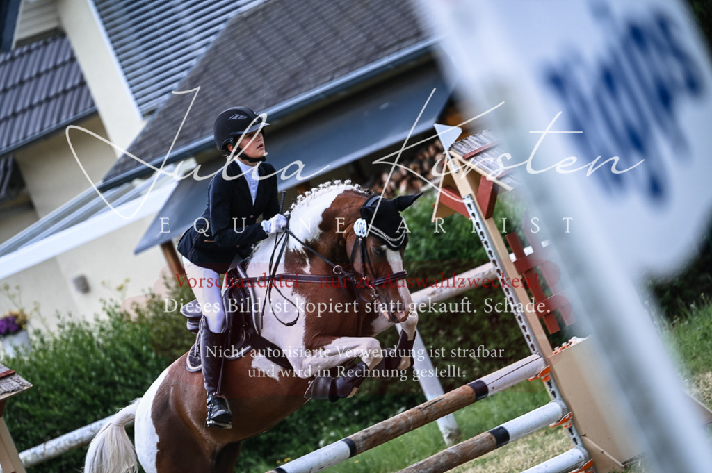 DSC_8557 | Pferde- und Turnierfotografie in Westsachsen. Pferdeportraits, Auftragszeichnungen und intuitive Kunst.