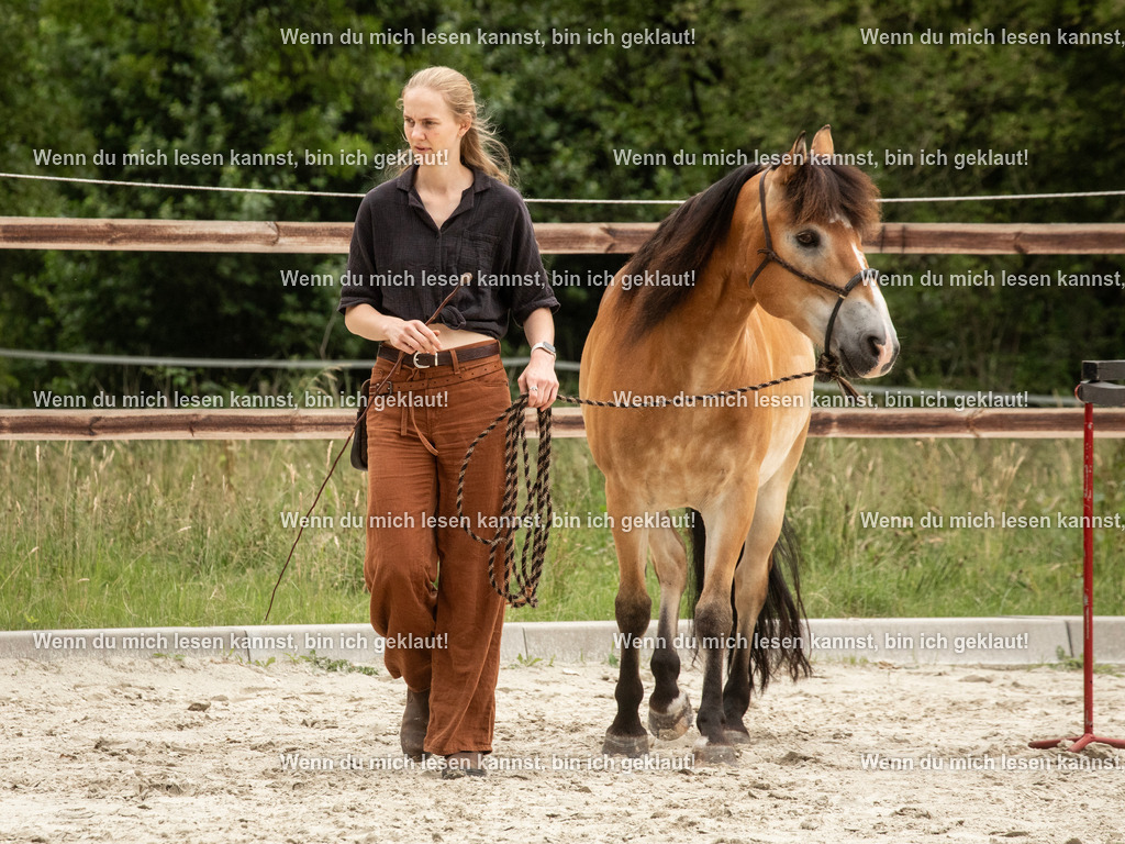 598A6245 | photographylinaismer - Realisiert mit Pictrs.com