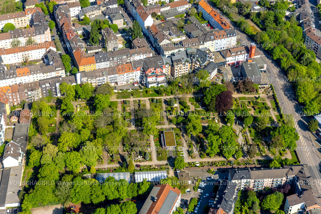 Hagen240503990 | Luftbild, Buschey-Friedhof Hagen, Gräberfeld mit grünen Bäumen, Wehringhausen, Hagen, Ruhrgebiet, Nordrhein-Westfalen, Deutschland