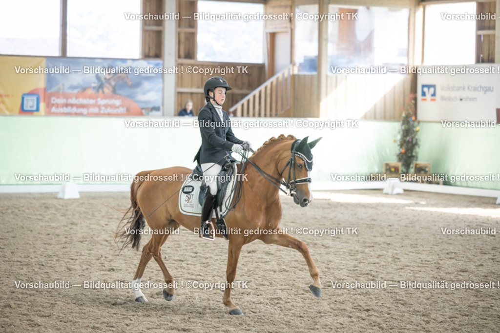 _D5A2591 | Emotionale Pferde- & People-Fotografie rund um Heidelberg, Leimen & Umgebung. Natürliche Fotos von Pferd, Mensch & Familie. Jetzt Termin sichern!