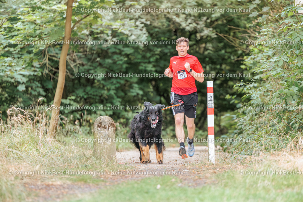 THS-Quakenbrück-2026-Nickbest-Hundefotografie-0348 | Dein Hund! Dein Moment! Deine Erinnerungen! Hundefotografie in Bremen Blumenthal. Ich fange die besonderen Momente deines Vierbeiners ein – ob Indoor mit Blitzanlage oder in der freien Natur. Sicher dir dein Moment und dein Termin für eure Erinnerungen.