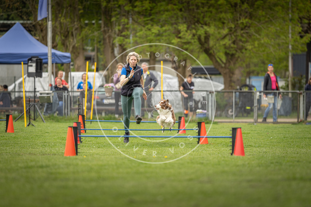Pfotenfotografie_DV3A8264 | Hundefotografie, Tierfotograf, Pfotenfotografie, Fotoshooting Hund, Hunde Portrait, Hundesport, Hundeportraits, Heideshooting, Hunde, Sportfotograf, Hundefotograf, Turnierhundsport, THS,  - Realisiert mit Pictrs.com