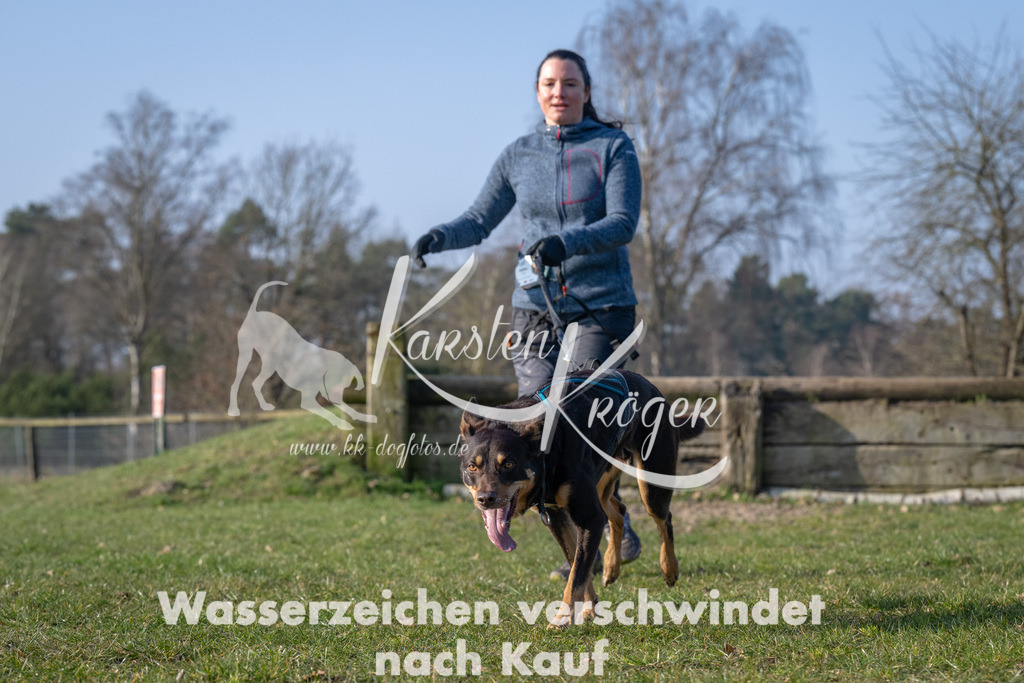 _ZZ94245 | kk-dogfotos