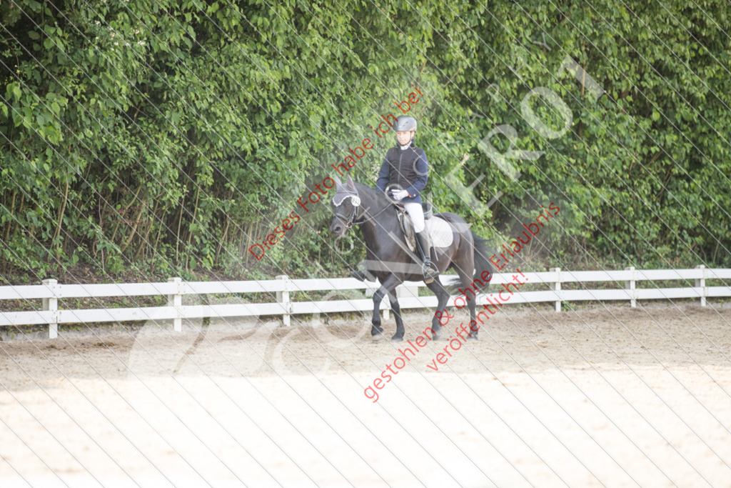 IMG_3289 | Sport-, Event- und Tierfotos in Profiqualität. Einfach auswählen, bestellen und herunterladen. Dein Moment – perfekt festgehalten.