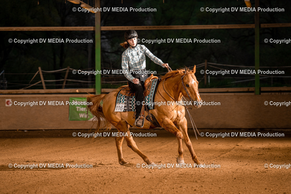 BA301419 | dv-media-shop - Realisiert mit Pictrs.com