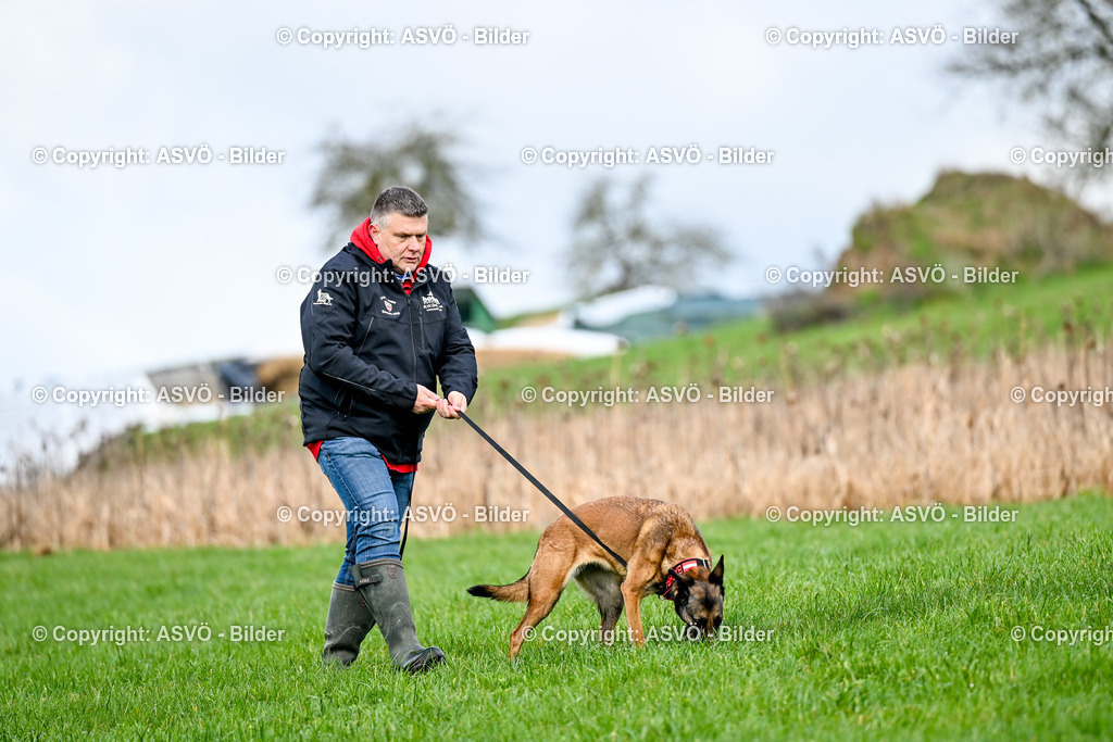 ASVÖ_ Tracking Dog World Championship 2025_ 31.03.2025-51 | 31.03.2025, AUT, ASVÖ, Tracking Dog World Championship // FCI IGP Fährtenhundeweltmeisterschaft 2025©fodo.media / Harald Dostal - Realisiert mit Pictrs.com