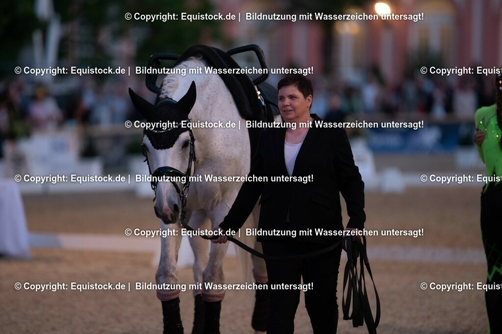 20230527_Voltigieren_NASPA_Flutlicht_0373 | equistock