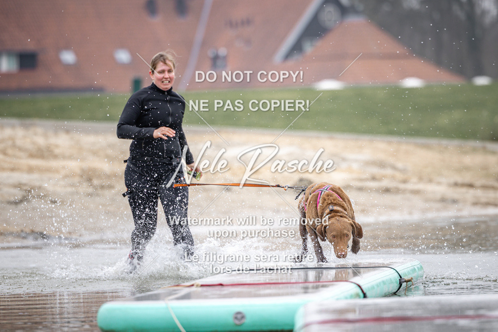 nelerasche_Hulsbeek_Sa1030-1100_742 | nelerasche