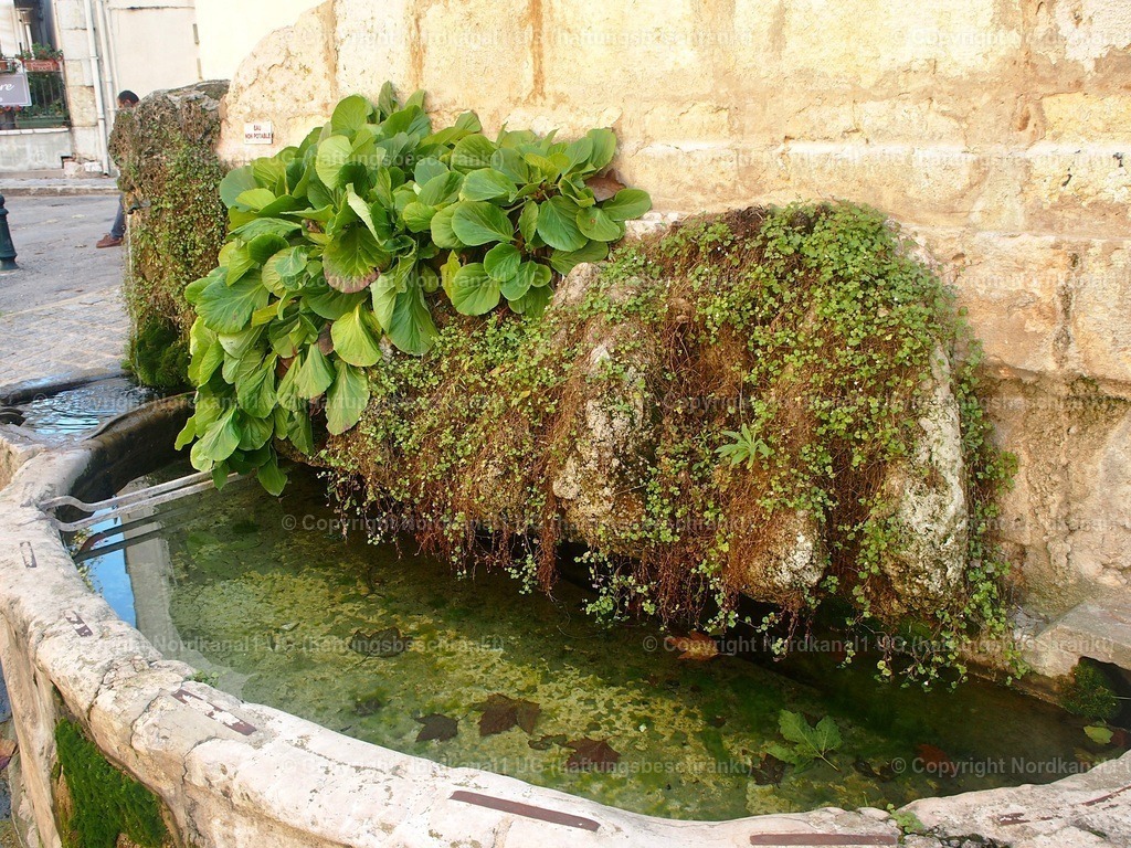 PA272092 | OLYMPUS DIGITAL CAMERA          - Realisiert mit Pictrs.com