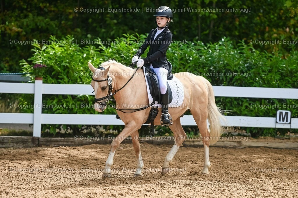 20230716_10-3_Reiter-WB Schritt - Trab - Galopp_0110 | equistock